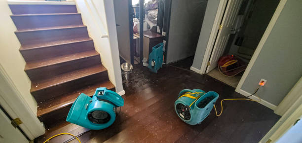 24/7 water damage repair in NY