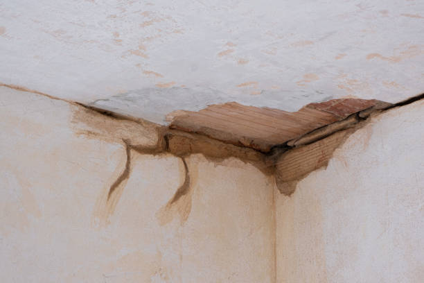 Best Mold removal after water damage  in Lincolndale, NY