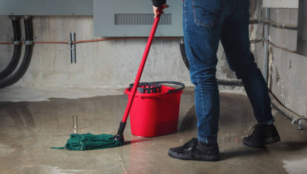 Best Sewage cleanup and water damage restoration  in Lincolndale, NY
