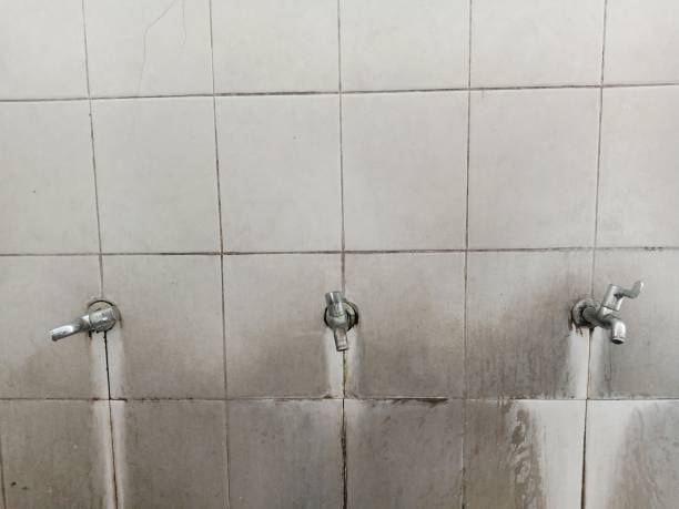 Best Sewage cleanup and water damage restoration  in Lincolndale, NY