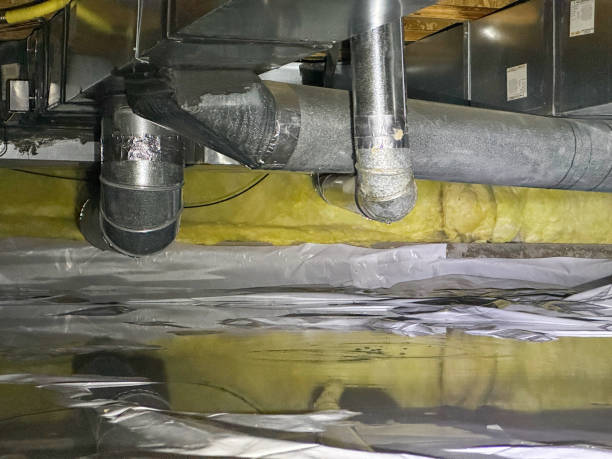Best Water damage restoration near me  in Lincolndale, NY